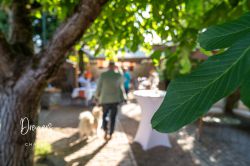Dreyers Chalet Die Eventlocation In Schifferstadt 32