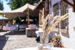 Deine Freie Trauung Bei Dreyers Chalet Die Eventlocation In Schifferstadt 10